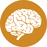 Moderate HIE Life Expectancy
