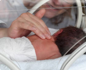 Newborn baby in a NICU incubator being gently touched on the back by an adult's hand through the glass.