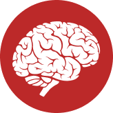 Severe HIE Life Expectancy